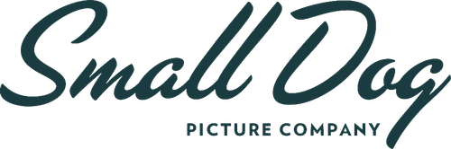 Каталог сериалов от студии Small Dog Picture Company - Рейтинги, отзывы, дата выхода на CUB