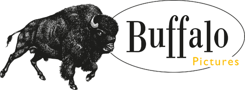 Каталог сериалов от студии Buffalo Pictures - Рейтинги, отзывы, дата выхода на CUB