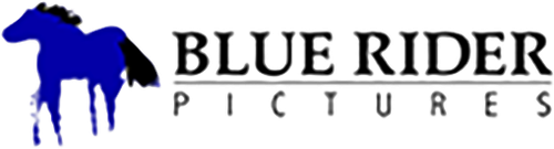 Каталог фильмов от студии Blue Rider Pictures - Рейтинги, отзывы, дата выхода на CUB