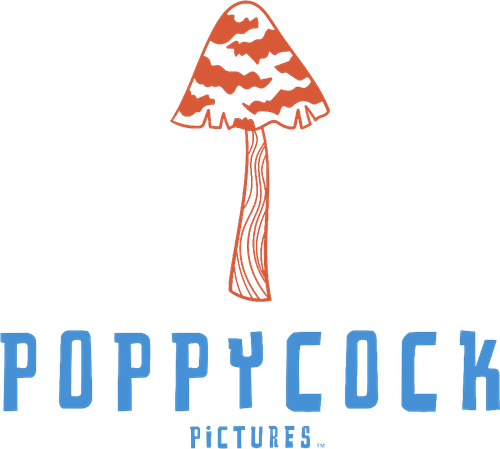Каталог сериалов от студии Poppycock Pictures - Рейтинги, отзывы, дата выхода на CUB