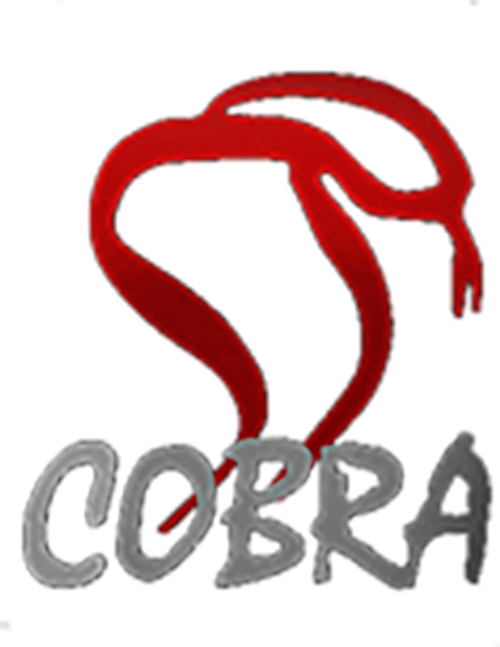 Каталог фильмов от студии Cobra Film Department - Рейтинги, отзывы, дата выхода на CUB
