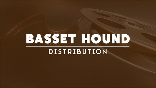 Каталог фильмов от студии Basset Hound Distribution - Рейтинги, отзывы, дата выхода на CUB