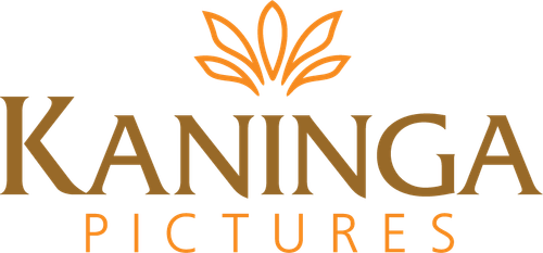 Каталог фильмов от студии Kaninga Pictures - Рейтинги, отзывы, дата выхода на CUB