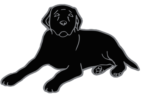Каталог сериалов от студии Black Dog Television - Рейтинги, отзывы, дата выхода на CUB
