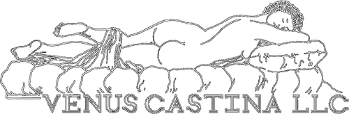 Каталог фильмов от студии Venus Castina Productions - Рейтинги, отзывы, дата выхода на CUB