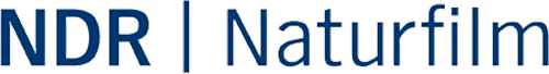 Каталог фильмов от студии NDR Naturfilm - Рейтинги, отзывы, дата выхода на CUB