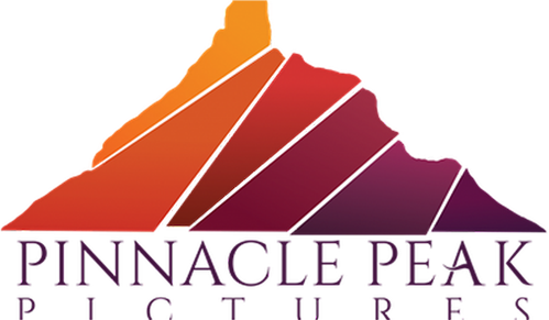 Каталог фильмов от студии Pinnacle Peak Pictures - Рейтинги, отзывы, дата выхода на CUB