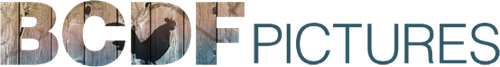 Каталог фильмов от студии BCDF Pictures - Рейтинги, отзывы, дата выхода на CUB