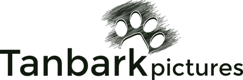 Каталог фильмов от студии Tanbark Pictures - Рейтинги, отзывы, дата выхода на CUB