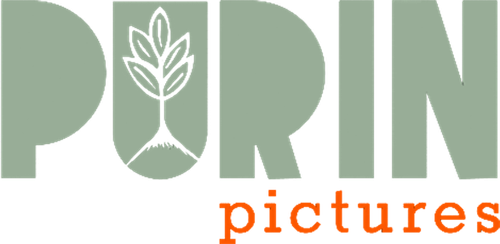 Каталог фильмов от студии Purin Pictures - Рейтинги, отзывы, дата выхода на CUB