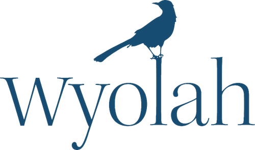 Каталог сериалов от студии Wyolah Films - Рейтинги, отзывы, дата выхода на CUB
