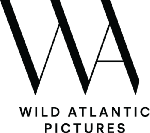 Каталог фильмов от студии Wild Atlantic Pictures - Рейтинги, отзывы, дата выхода на CUB