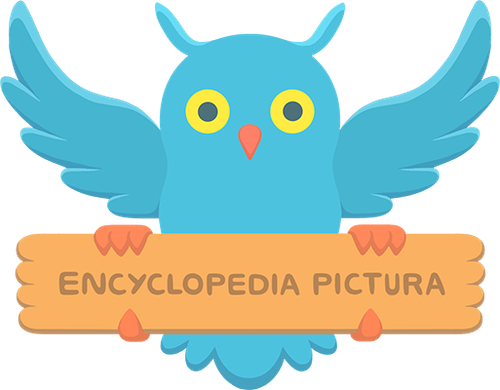 Каталог фильмов от студии Encyclopedia Pictura - Рейтинги, отзывы, дата выхода на CUB
