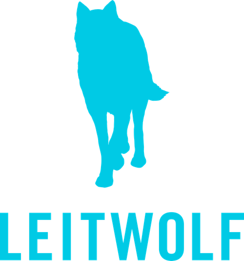 Каталог фильмов от студии Leitwolf Filmproduktion - Рейтинги, отзывы, дата выхода на CUB