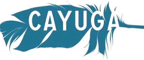 Каталог фильмов от студии Cayuga Ficción - Рейтинги, отзывы, дата выхода на CUB