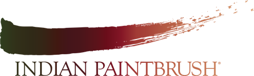 Каталог фильмов от студии Indian Paintbrush - Рейтинги, отзывы, дата выхода на CUB