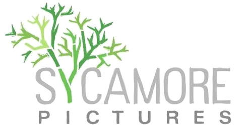 Каталог фильмов от студии Sycamore Pictures - Рейтинги, отзывы, дата выхода на CUB