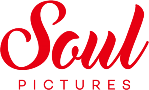 Каталог сериалов от студии Soul Pictures - Рейтинги, отзывы, дата выхода на CUB